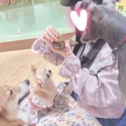 ヒメ日記 2025/05/24 17:35 投稿 るびぃ 秋葉原コスプレ学園(AKG)