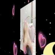 ヒメ日記 2025/06/19 02:33 投稿 るびぃ 秋葉原コスプレ学園(AKG)