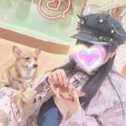 ヒメ日記 2025/06/24 09:26 投稿 るびぃ 秋葉原コスプレ学園(AKG)