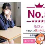 ヒメ日記 2025/11/01 11:02 投稿 るびぃ 秋葉原コスプレ学園(AKG)