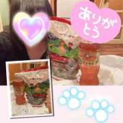 ヒメ日記 2026/02/18 19:11 投稿 るびぃ 秋葉原コスプレ学園(AKG)