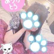 ヒメ日記 2026/02/27 18:41 投稿 るびぃ 秋葉原コスプレ学園(AKG)