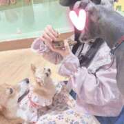 ヒメ日記 2026/04/02 12:56 投稿 るびぃ 秋葉原コスプレ学園(AKG)