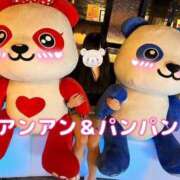 ヒメ日記 2026/07/05 09:45 投稿 るびぃ 秋葉原コスプレ学園(AKG)