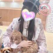 ヒメ日記 2026/07/24 13:02 投稿 るびぃ 秋葉原コスプレ学園(AKG)