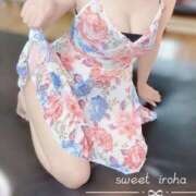 ヒメ日記 2025/11/19 13:46 投稿 いろは Sweet～crea～