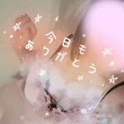 ヒメ日記 2026/01/19 05:13 投稿 いろは Sweet～crea～