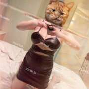 ヒメ日記 2025/07/17 13:00 投稿 TSUBASA Big Tits(ビッグティッツ)