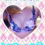 ヒメ日記 2024/12/29 12:51 投稿 ゆうか シャングリラ東広島～桃源郷～