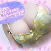 ヒメ日記 2025/08/09 03:01 投稿 ゆうか シャングリラ東広島～桃源郷～