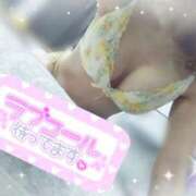 ヒメ日記 2026/02/14 11:30 投稿 ゆうか シャングリラ東広島～桃源郷～