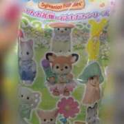 ヒメ日記 2024/12/16 23:21 投稿 高輪けい Mrs. Dandy