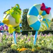 ヒメ日記 2025/01/12 23:23 投稿 高輪けい Mrs. Dandy