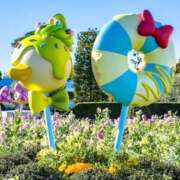 ヒメ日記 2025/01/21 23:16 投稿 高輪けい Mrs. Dandy