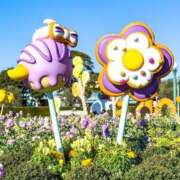 ヒメ日記 2025/01/23 15:51 投稿 高輪けい Mrs. Dandy