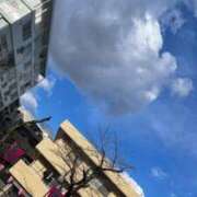 ヒメ日記 2025/03/22 23:21 投稿 高輪けい Mrs. Dandy