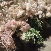 ヒメ日記 2025/05/02 23:39 投稿 高輪けい Mrs. Dandy Shibuya