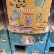 ヒメ日記 2025/10/15 23:31 投稿 高輪けい Mrs. Dandy Shibuya