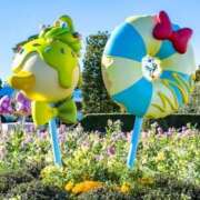 ヒメ日記 2025/01/21 23:27 投稿 高輪けい Mrs.Dandy Ueno