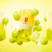 ヒメ日記 2025/05/25 23:31 投稿 高輪けい Mrs.Dandy Ueno