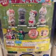 ヒメ日記 2025/03/03 23:21 投稿 高輪けい Mrs.Dandy Kinshicho