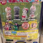 ヒメ日記 2025/03/08 23:14 投稿 高輪けい Mrs.Dandy Kinshicho