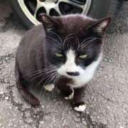 ヒメ日記 2025/06/01 23:42 投稿 高輪けい Mrs.Dandy Kinshicho