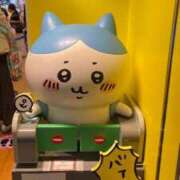 ヒメ日記 2025/10/10 21:21 投稿 高輪けい Mrs.Dandy Kinshicho