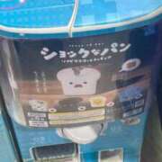 ヒメ日記 2025/11/18 02:13 投稿 高輪けい Mrs.Dandy Kinshicho