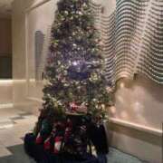 高輪けい 🎄 Mrs.Dandy Kinshicho