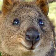 ヒメ日記 2025/05/06 20:34 投稿 高輪けい Mrs. Dandy shinagawa