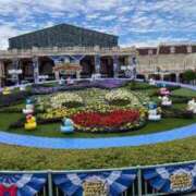 ヒメ日記 2025/06/06 23:23 投稿 高輪けい Mrs. Dandy shinagawa