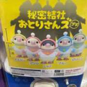 ヒメ日記 2025/11/06 21:03 投稿 高輪けい Mrs. Dandy shinagawa