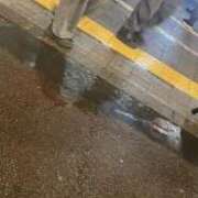 ヒメ日記 2025/04/11 02:42 投稿 高輪けい Mrs. Dandy Shinjuku