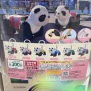 ヒメ日記 2025/08/14 23:17 投稿 高輪けい Mrs. Dandy Shinjuku