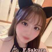 ヒメ日記 2024/12/13 22:12 投稿 藤本さくら ウルトラセレクション