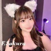 ヒメ日記 2025/06/13 17:50 投稿 藤本さくら ウルトラセレクション