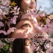 ヒメ日記 2026/02/28 12:40 投稿 藤本さくら ウルトラセレクション