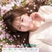 ヒメ日記 2026/03/08 06:50 投稿 藤本さくら ウルトラセレクション