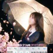 ヒメ日記 2026/03/14 23:56 投稿 藤本さくら ウルトラセレクション