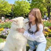 ヒメ日記 2026/04/21 06:50 投稿 藤本さくら ウルトラセレクション