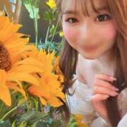 ヒメ日記 2026/05/29 00:20 投稿 藤本さくら ウルトラセレクション
