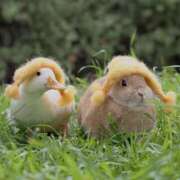 ヒメ日記 2024/12/14 18:04 投稿 のどか プールサイド新橋店