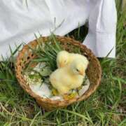 ヒメ日記 2024/12/25 05:03 投稿 のどか プールサイド新橋店