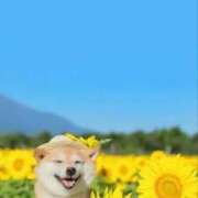 ヒメ日記 2025/01/08 18:52 投稿 のどか プールサイド新橋店