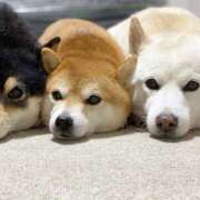 ヒメ日記 2025/01/30 19:19 投稿 のどか プールサイド新橋店