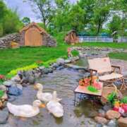 ヒメ日記 2025/01/31 18:14 投稿 のどか プールサイド新橋店