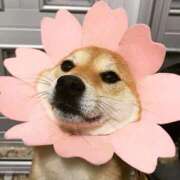 ヒメ日記 2025/02/04 18:10 投稿 のどか プールサイド新橋店