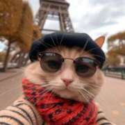 ヒメ日記 2025/02/13 23:05 投稿 のどか プールサイド新橋店