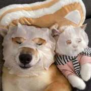 ヒメ日記 2025/02/20 18:11 投稿 のどか プールサイド新橋店